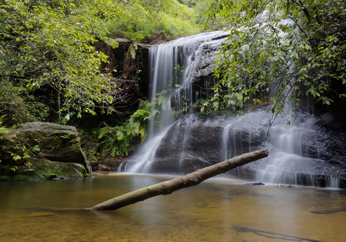 Cataract Falls - South Lawson