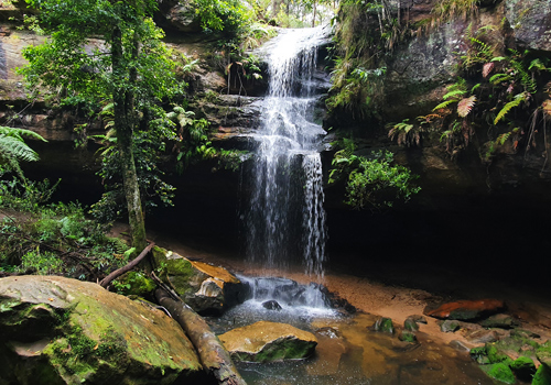 Horseshoe Falls (Lyrebird Falls) - Hazelbrook