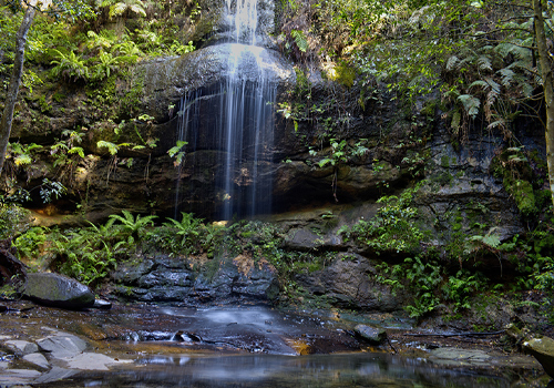 Adelina Falls - South Lawson