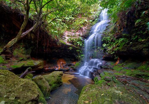 Clarinda Falls - Faulconbridge