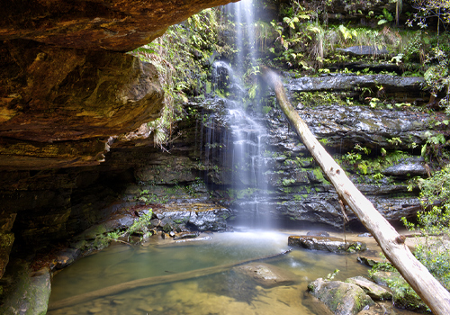 Dante's Glen - North Lawson