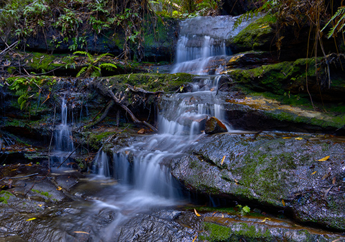 Den Fenella Falls - Wentworth Falls