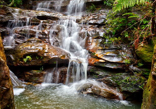 Edith Falls - Woodford