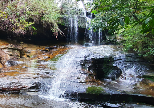 Fairy Falls - Hazelbrook