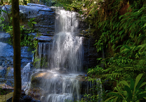 Flat Rock Falls - Wentworth Falls