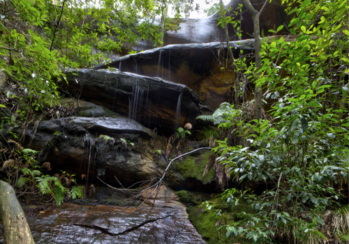 Florabella Falls - Blaxland