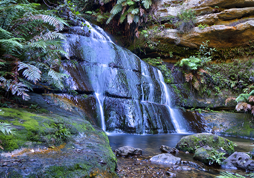 Floras Bath - Wentworth Falls