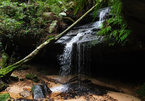 Glow Worm Nook Falls - Hazelbrook