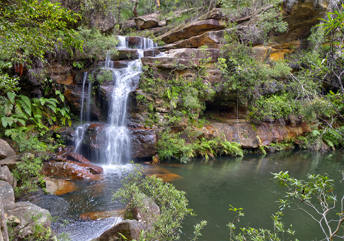 Grey Hat Falls - Glenbrook National Park