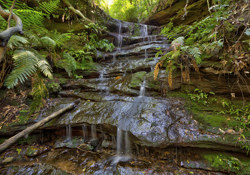 Isobel Falls - Wentworth Falls