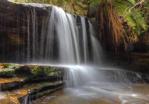 Burgess Falls Walking Track - Hazelbrook