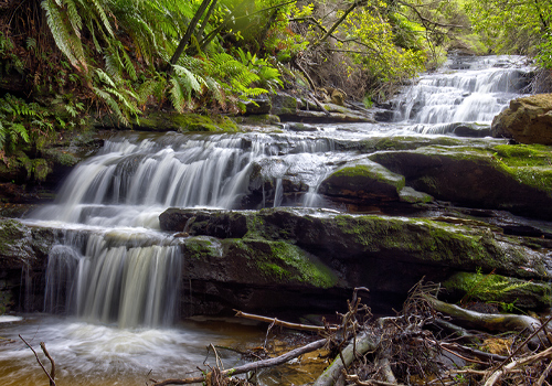 Leura Cascades - Leura