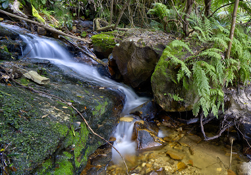 Lila Falls - Leura