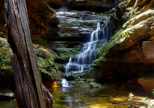 Lucys Glen - North Lawson