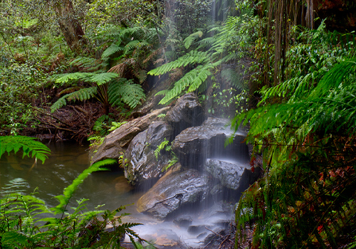 Mabel Falls - Woodford