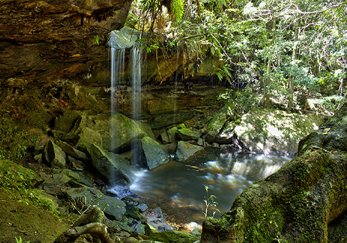 Martin's Falls - Springwood