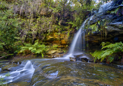 Meeks Falls - Faulconbridge