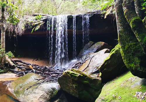 Oakland Falls - Hazelbrook