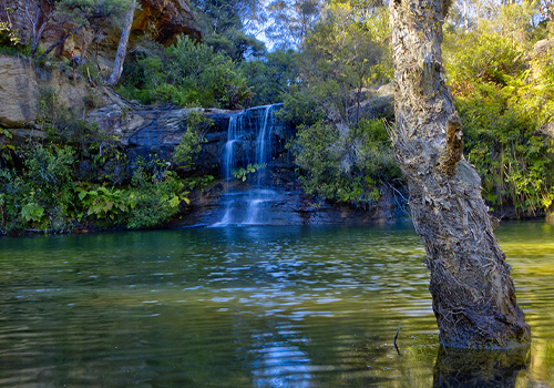 Paradise Pool - Waratah Falls - Linden