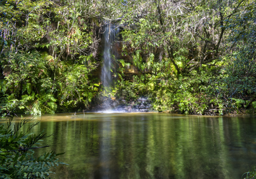 Peggys Pool  - Faulconbridge