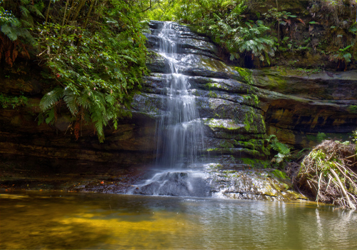 Pool Of Siloam - Leura