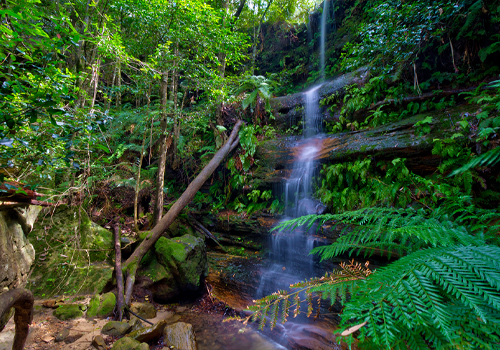 Pyramid Falls - Hazelbrook