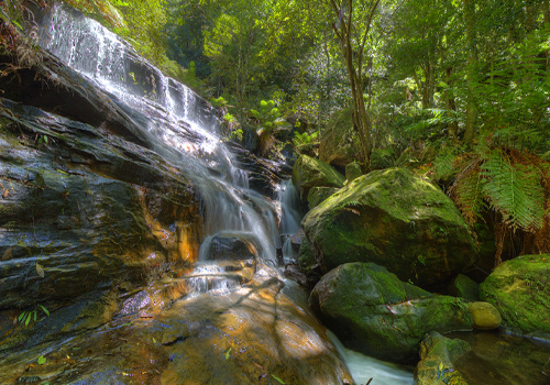 Red Rock Falls - Wentworth Falls