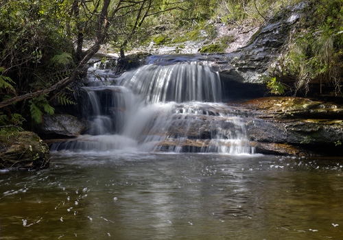 Taylor Fall - Blackheath