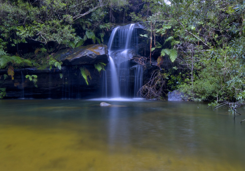 Turtle Falls - Faulconbridge