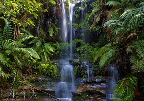 Wallace Falls - Woodford