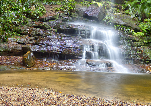 Water Nymphs Dell - Wentworth Falls