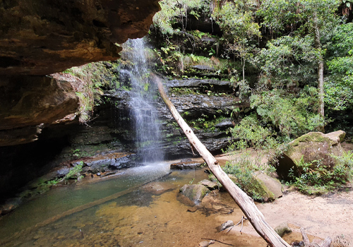 Empire Pass - North Lawson