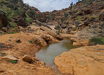 Mutawintji Gorge Walk - Mutawintji National Park