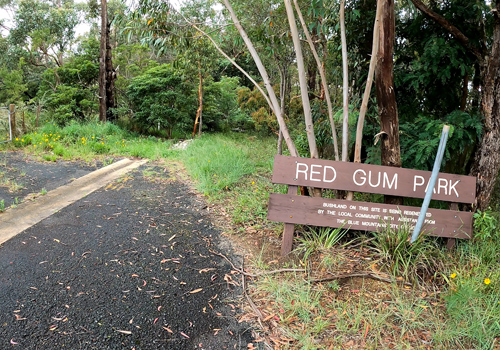 Minnatonka Falls & Red Gum Picnic Area - Bullaburra