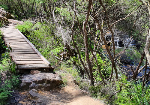 Minnihaha Falls Walking Track - Katoomba