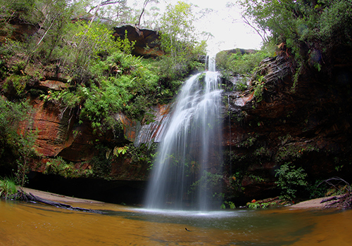 An alternate way in and out of Numantia Falls at Faulconbridge