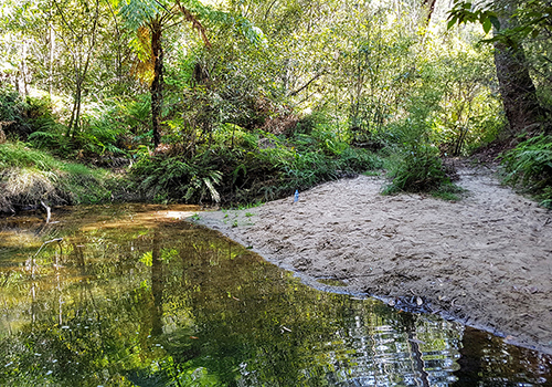 Peggy's Pool & Waterfall - Faulconbridge