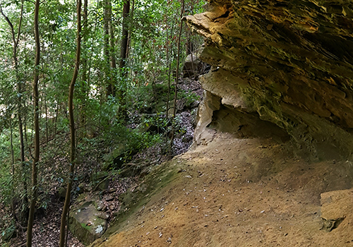 St Georges Crescent Track At Faulconbridge