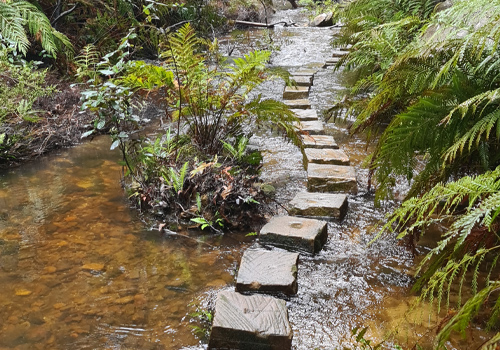 Walls Cave - Blackheath NSW