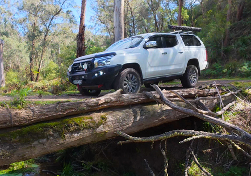 Wingello State Forest — Well, That Didn’t Go to Plan!